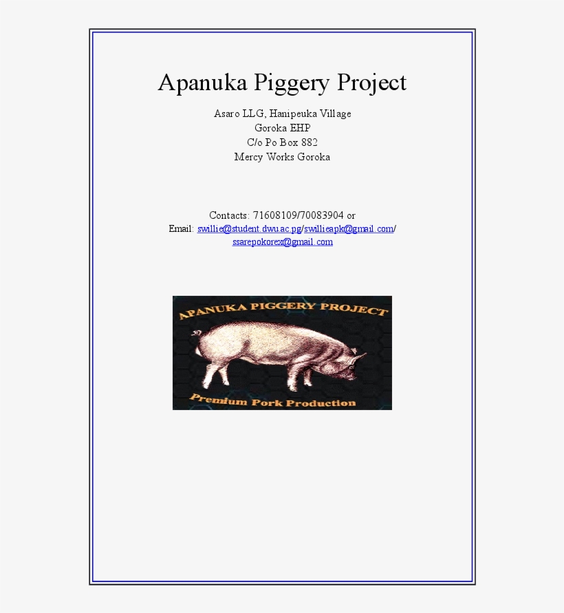 Docx - Domestic Pig, transparent png download