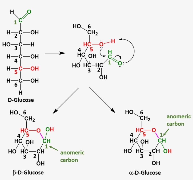 When Glucose Cylizes The Oxygen From The 5th Carbon, - Diagram, transparent png download