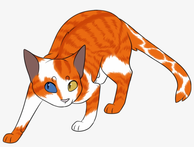 Brightstar - Domestic Short-haired Cat, transparent png download