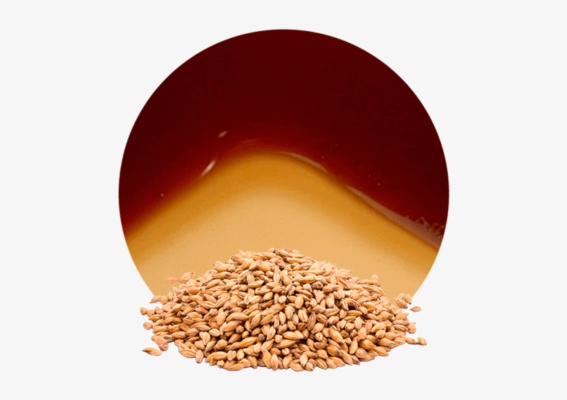 Com/wp Concentrate - Emmer, transparent png download