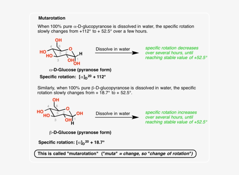What Happened Here How Did The Alpha Convert To The - Mutarotation Short Note, transparent png download