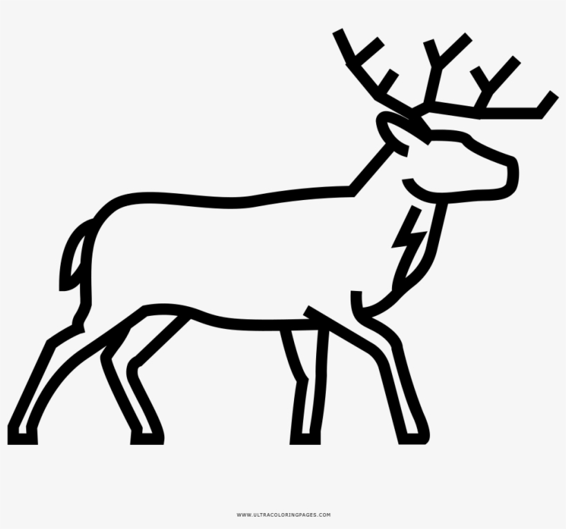 Deer Coloring Page - Drawing, transparent png download