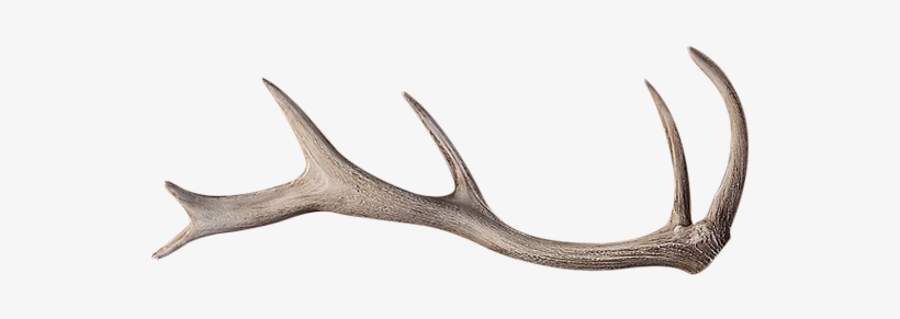 Reindeer, transparent png download