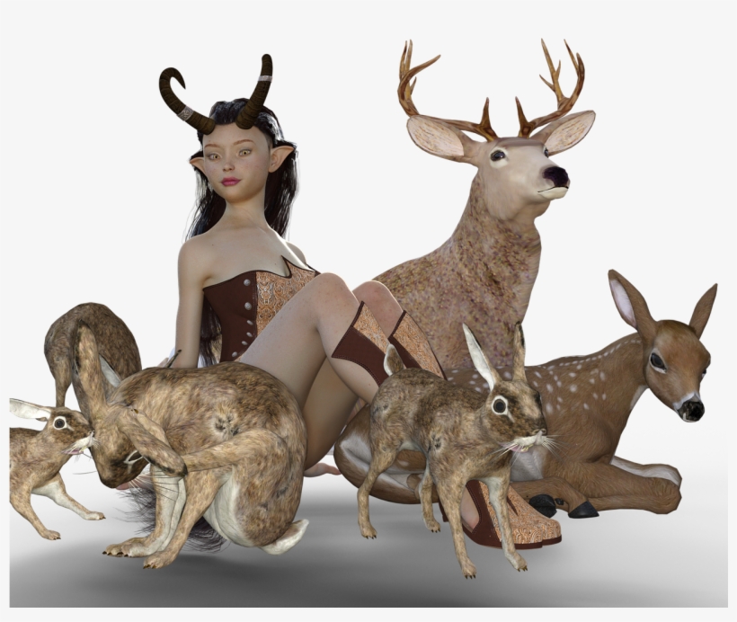 Deer,red - Elk, transparent png download