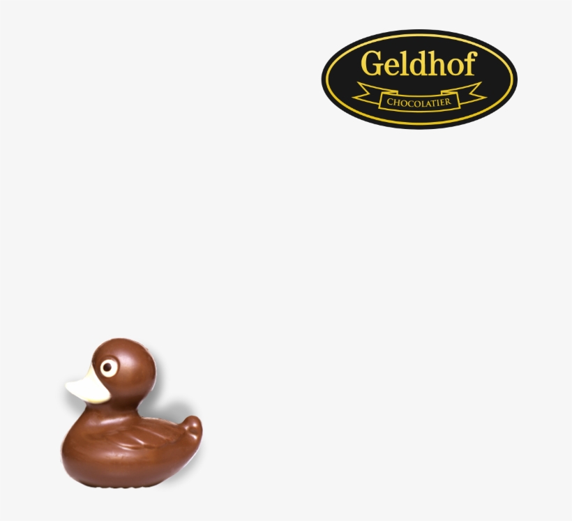 Duck, transparent png download