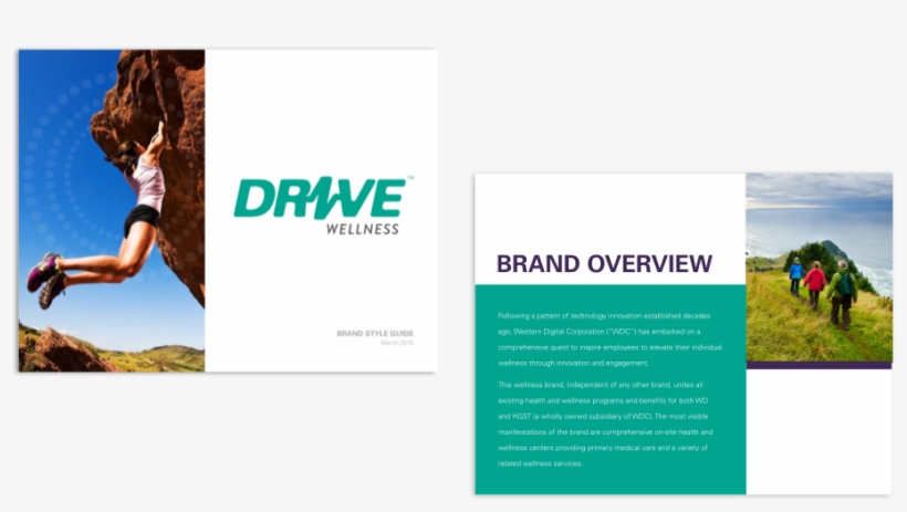 Drive Wellness Style Guide Overview - Flyer, transparent png download