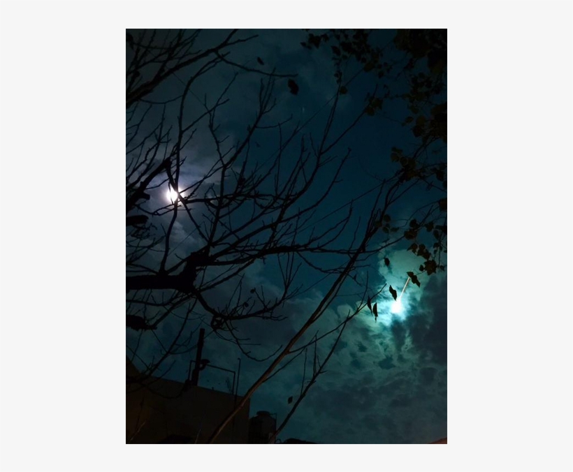 La Extraña Luz Verde En El Cielo Que En Segundos Revolucionó - Moonlight, transparent png download