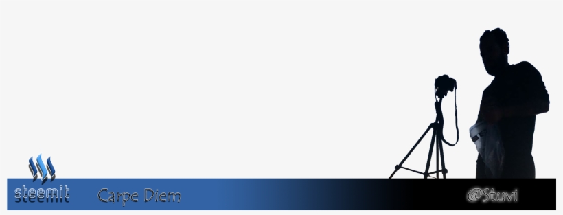 Hope You Like This Crazy Story - Chair, transparent png download