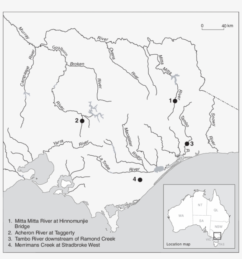 Fig Ure - Atlas, transparent png download