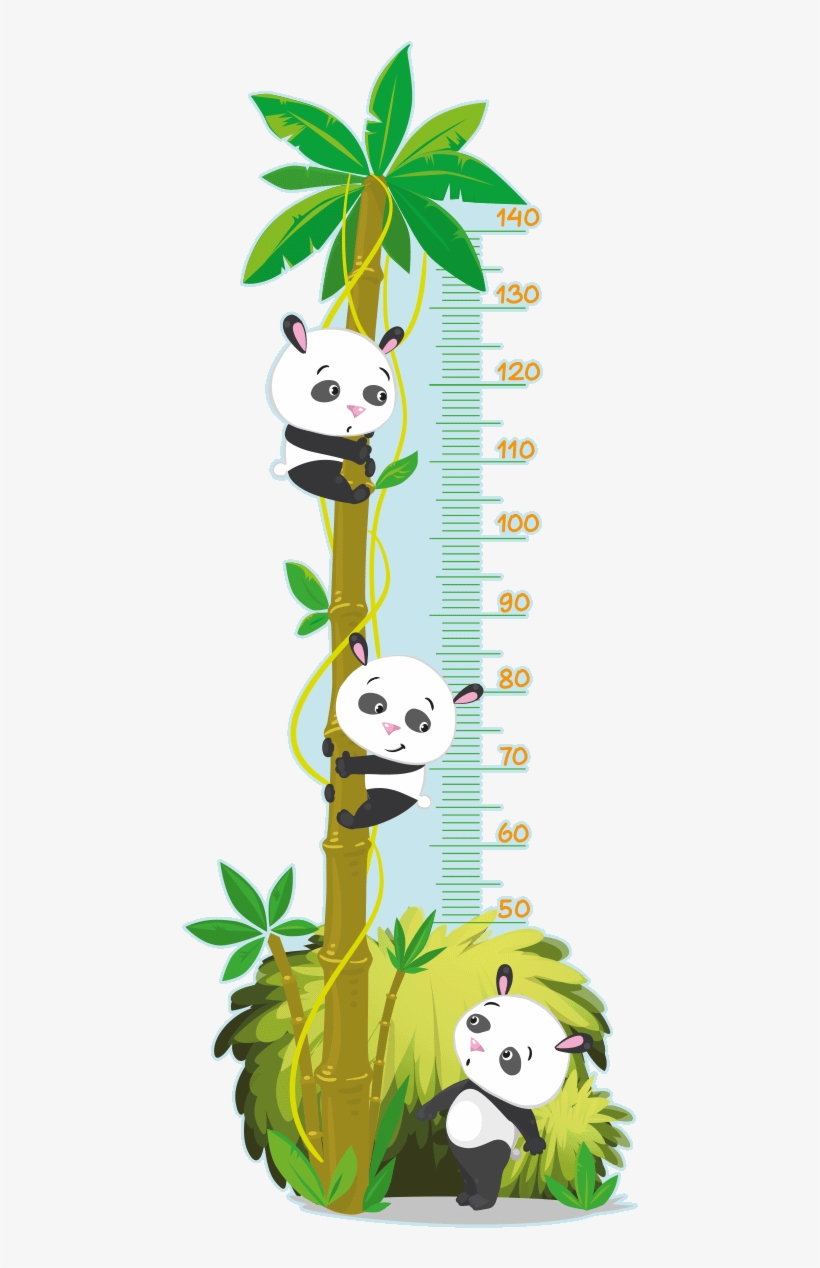 Sticker Toise Arbre Des Pandas Ambiance Sticker Col - Toise Panda Stickers, transparent png download