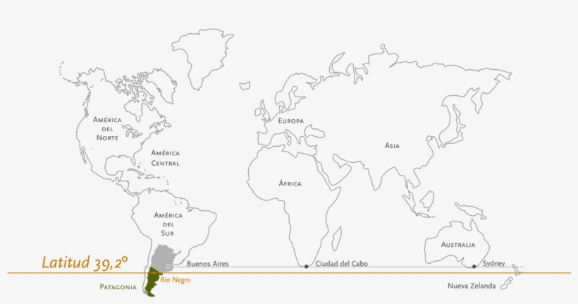 Pioneer In Patagonia Wine Terroir - Mapa Mundi Para Colorir, transparent png download