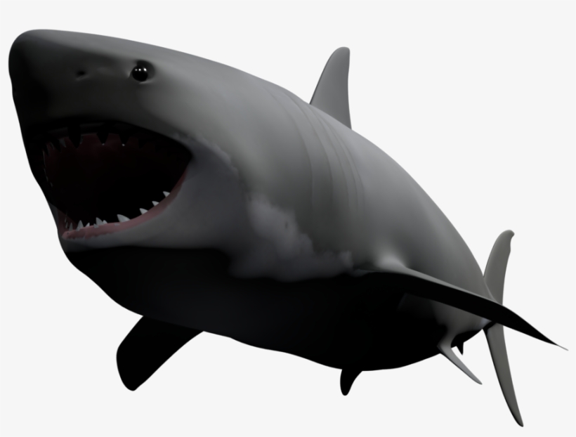 Great White Shark, transparent png download