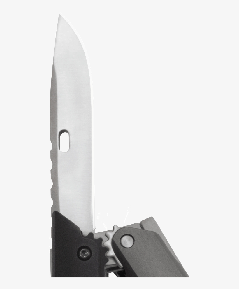 You Are Engraving - Sog Q2, transparent png download