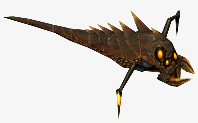 Orangeparasite - Earwigs, transparent png download