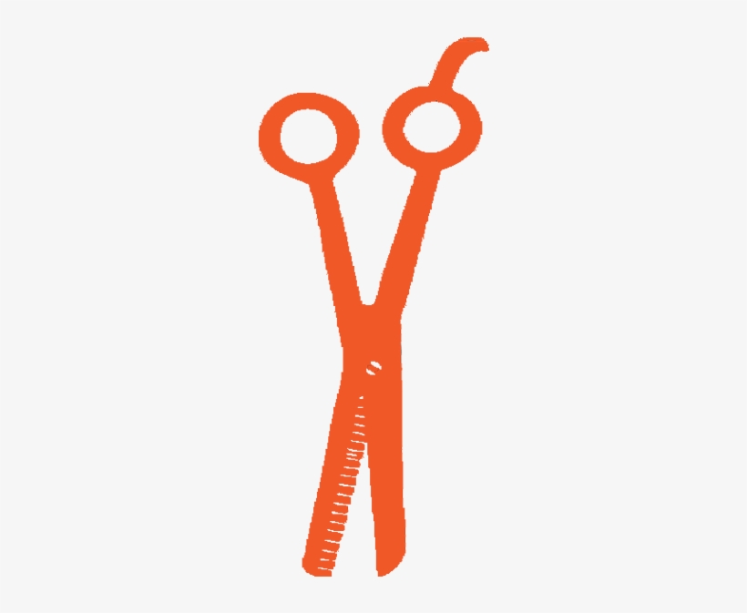 Hair - Circle, transparent png download