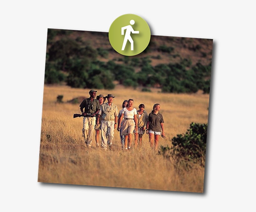 Activity Safaris Walking Safari - Cross, transparent png download