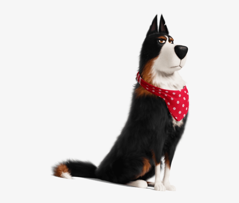 Companion Dog, transparent png download
