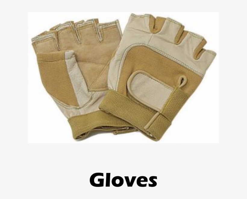 Glvoes - Director's Showcase, transparent png download