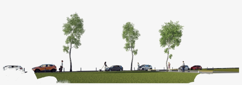 Newsletter - Tree, transparent png download