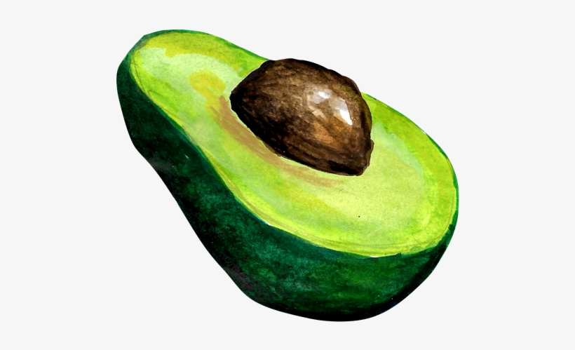 Avocado, transparent png download