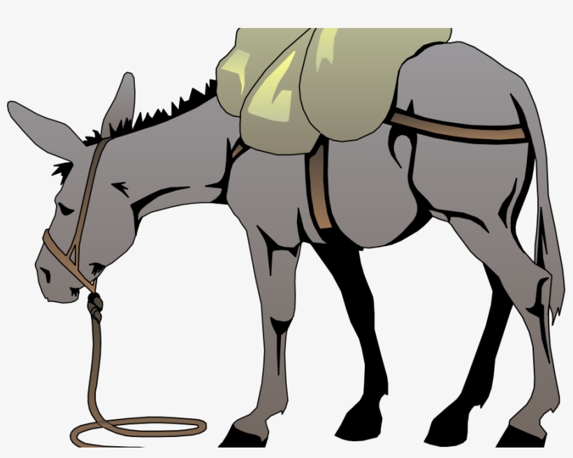 God And Duration Of Our Life - Donkey Clip Art, transparent png download