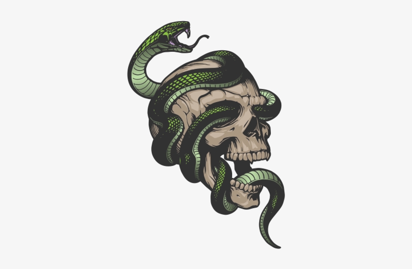 Green Snake Round - Snake Skull Png, transparent png download