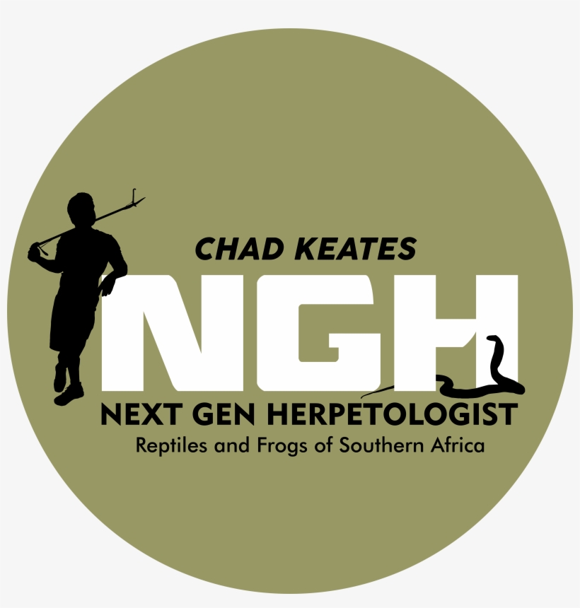 Logo - Cast A Fishing Line, transparent png download