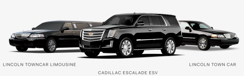 Ambassador Global Chauffeur - Black Lincoln Town Car, transparent png download