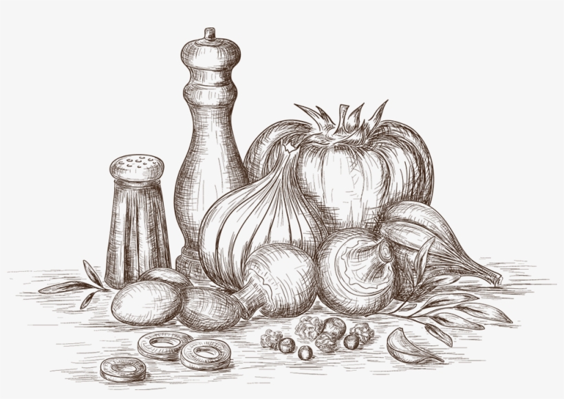 Spices - Sketch, transparent png download