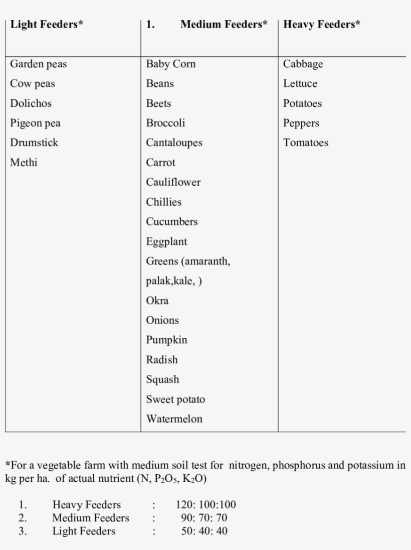 List Of Vegetables Based On Whether A Light, Medium, - List Of Heavy And Light, transparent png download