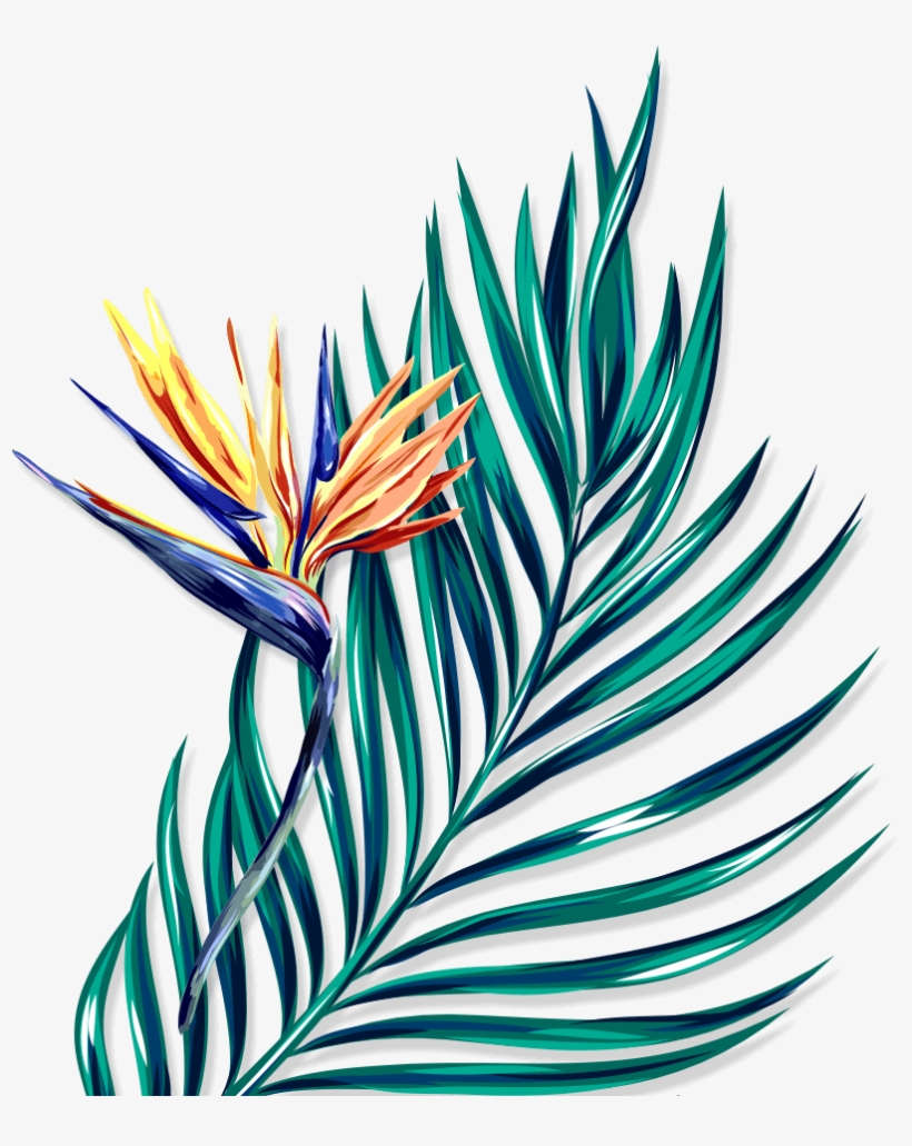 Illustration, transparent png download