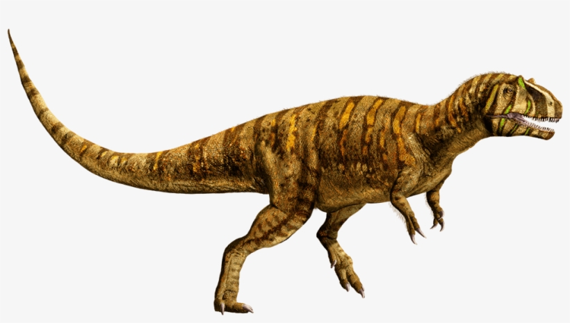 Metriacanthosaurus - Metriacanthosaurus Jurassic World Evolution, transparent png download