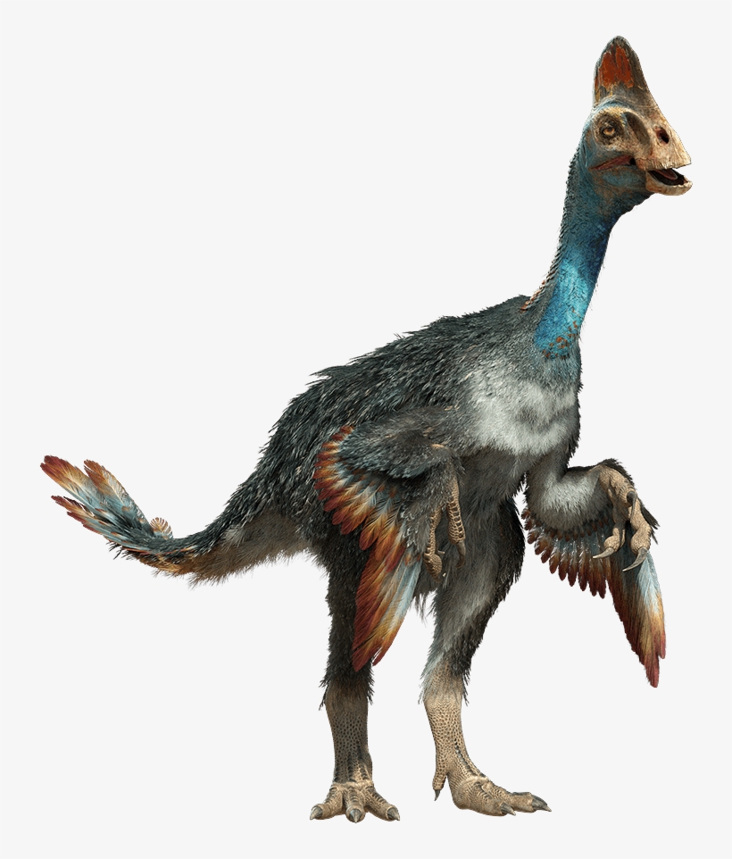 Hold On To Your Butts- Dinosaurs Are Making A Comeback - Chirostenotes Png, transparent png download