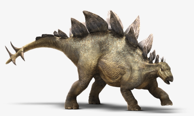 I Would Also Like To Point Out Something About The - Stegosaurus Jurassic World Dinosaurs, transparent png download