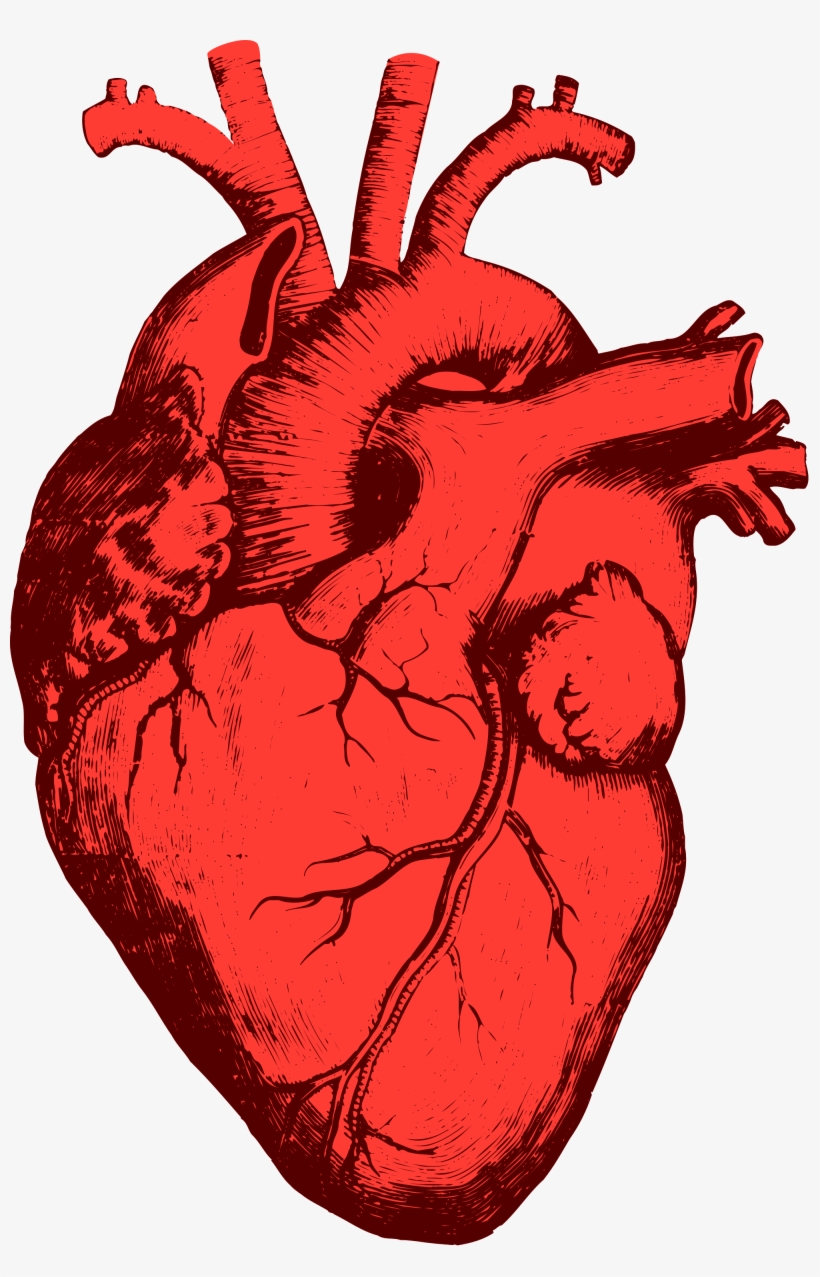 Open - Whiskey Words & A Shovel Iii, transparent png download