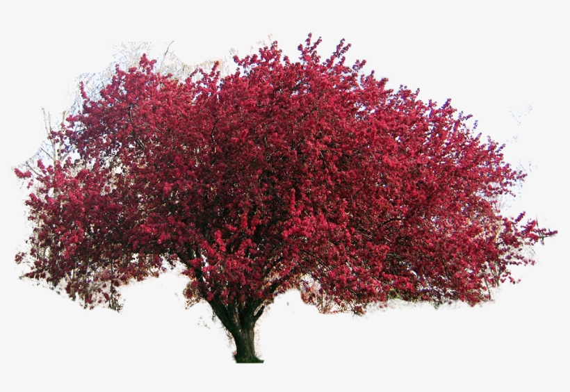 Tree Clipart Downloads Freeuse - Tree Of Love, transparent png download