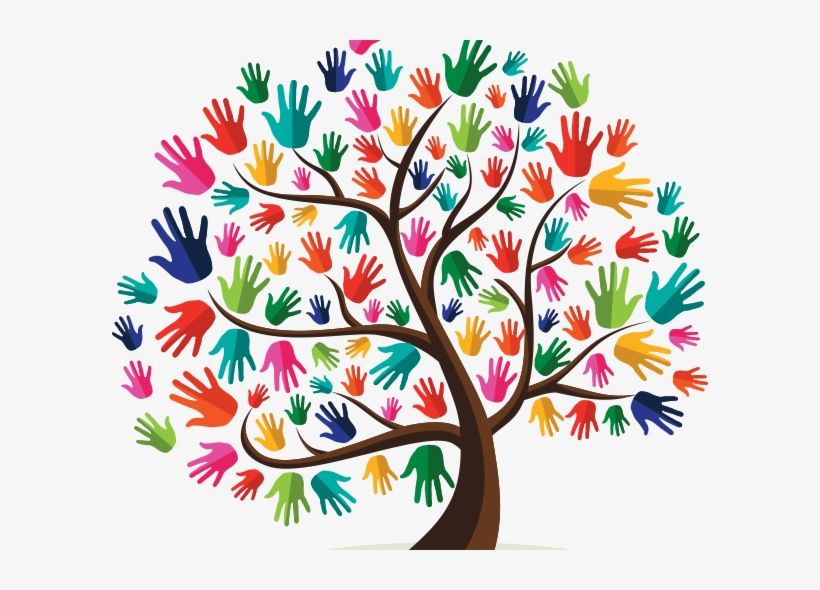 Programs And Services - Miracle Foundation, transparent png download