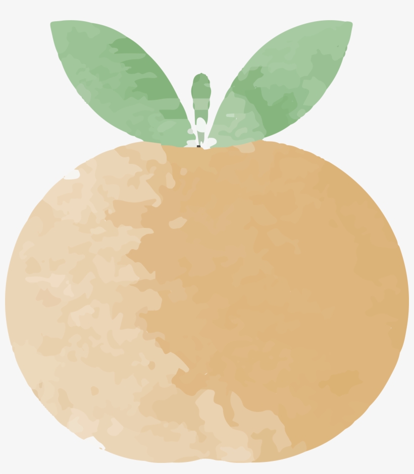 Painting Grapefruit Transprent Png - Watercolor Painting, transparent png download