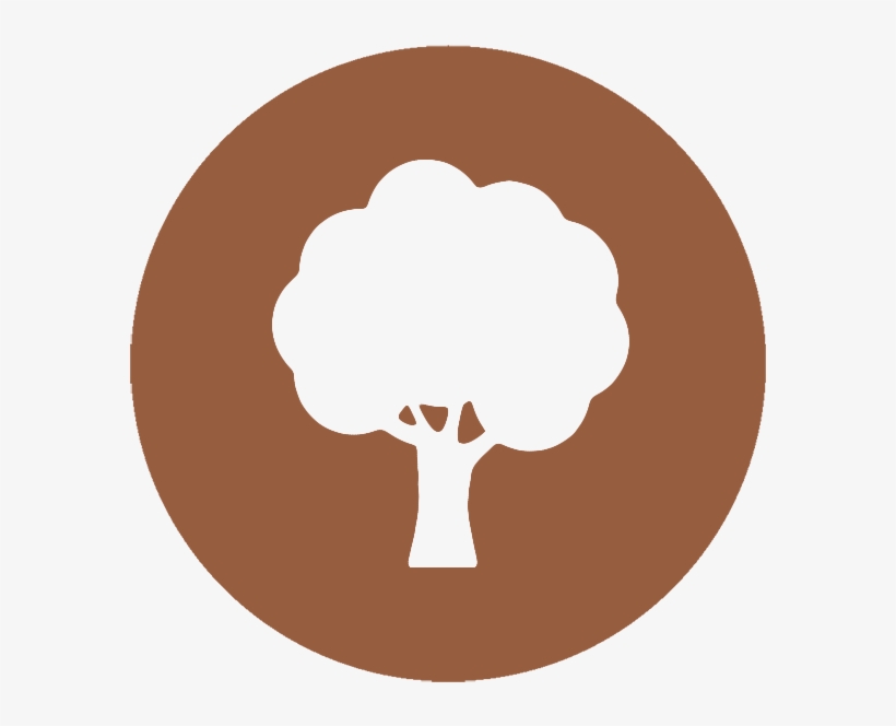 Life - Info, transparent png download