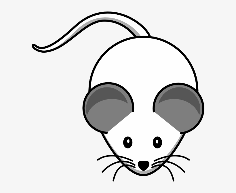How To Set Use White Mouse Both Grey Ears Icon Png, transparent png download