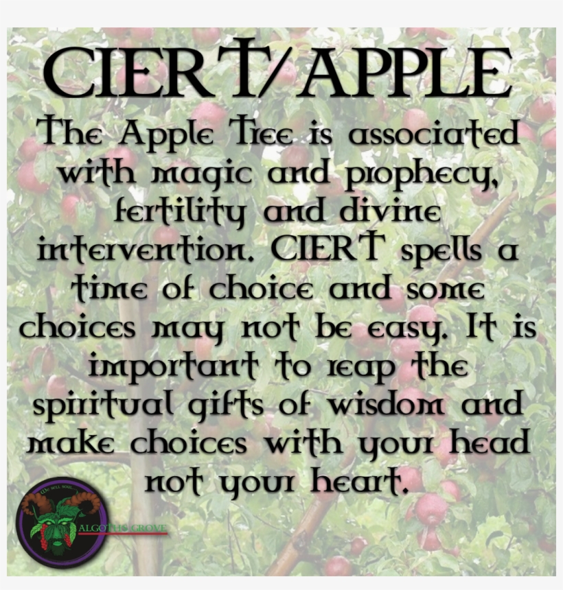 Apple Tree - Apple, transparent png download