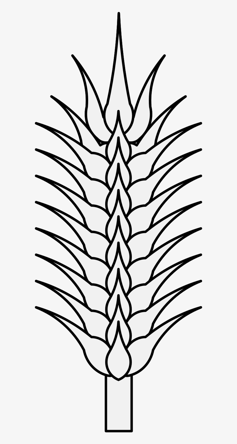 Details, Png - Drawing, transparent png download