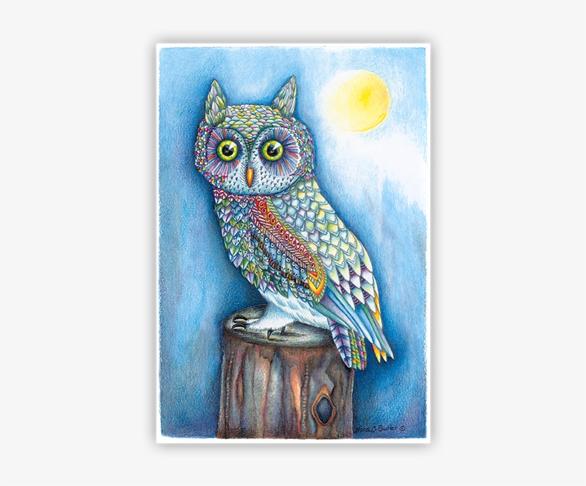 Night Owl By Nora Butler Designs - Cartoon, transparent png download