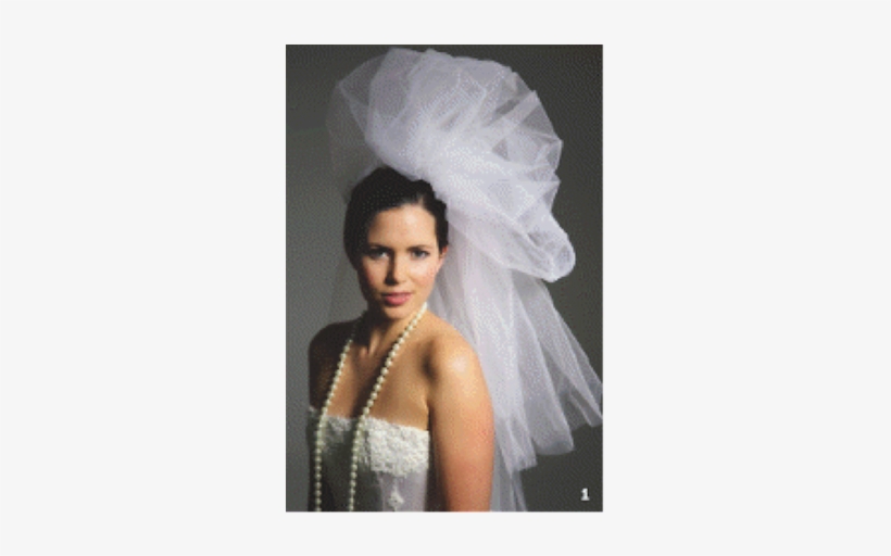 Extravagence With Bridal Tulle - Veil, transparent png download