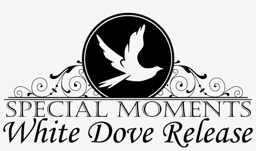 Be Inspired With A Dove Release - University Of Maryland University College, transparent png download
