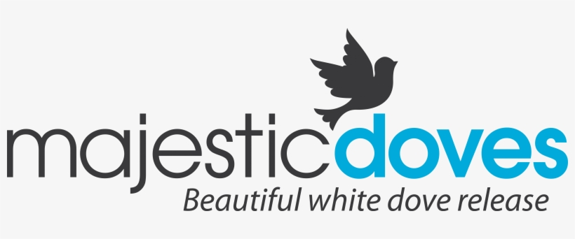 White Doves, Wedding Dove Release - 360 Destination Group, transparent png download