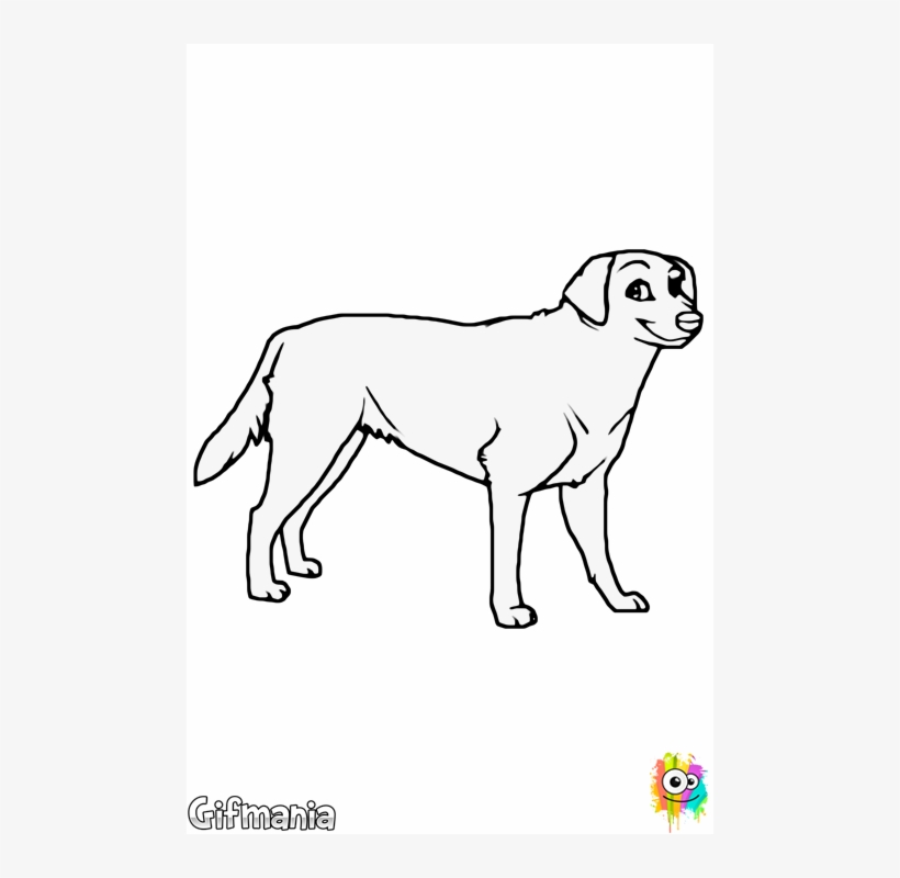 Dogs Vector Labrador - Desenho Labrador Preto Png, transparent png download