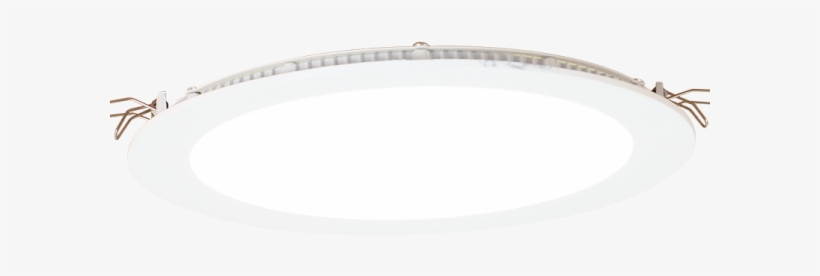 Dl502 White - Lighting, transparent png download