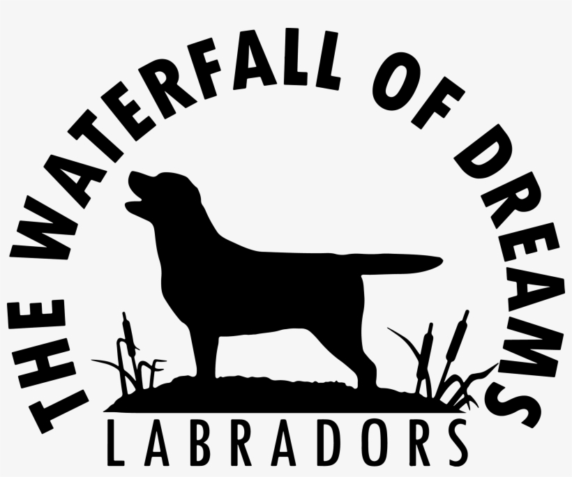 The Waterfall Of Dreams - Miskatonic University Pin, transparent png download