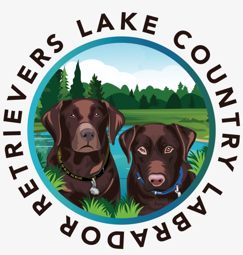 Krishna Janmashtmi Vector, transparent png download